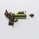 Illustration for article titled Eats shoots and leaves?